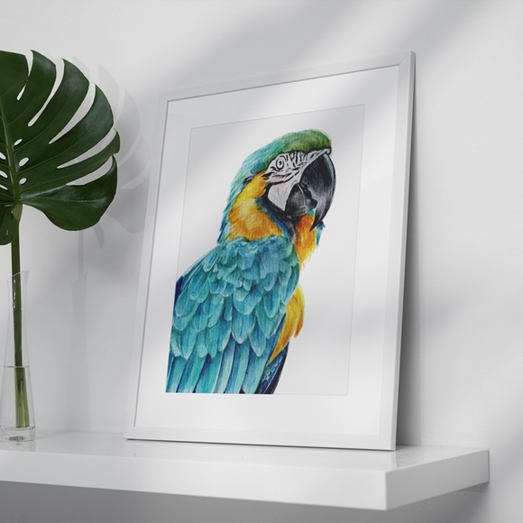 Blue Macaw Parrot Bird Watercolor Wall Art Print Poster Unframed - Picture 5 of 8